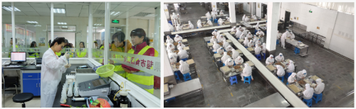 11届质量月 苏果走进扬州五丰富春包子生产基地