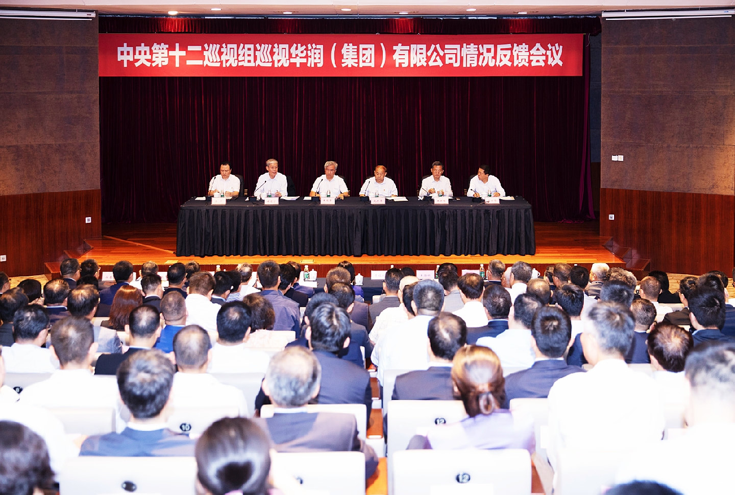 中央第十二巡视组向华润（集团）有限公司反馈巡视情况