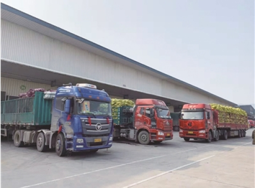 苏果：保供战场上的战“疫”突击队