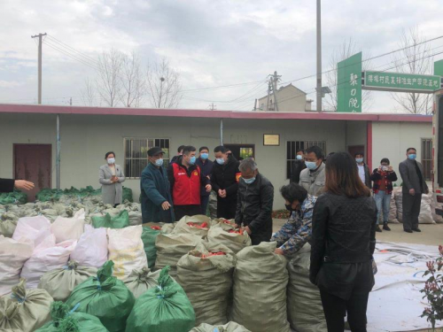 苏果爱心助农“吃下”10吨红椒