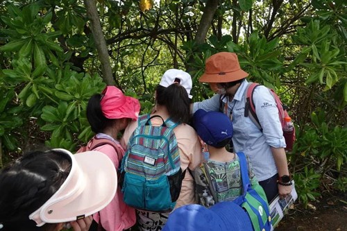 “永续生活”走进深圳湾红树林湿地，听湿地说悄悄话